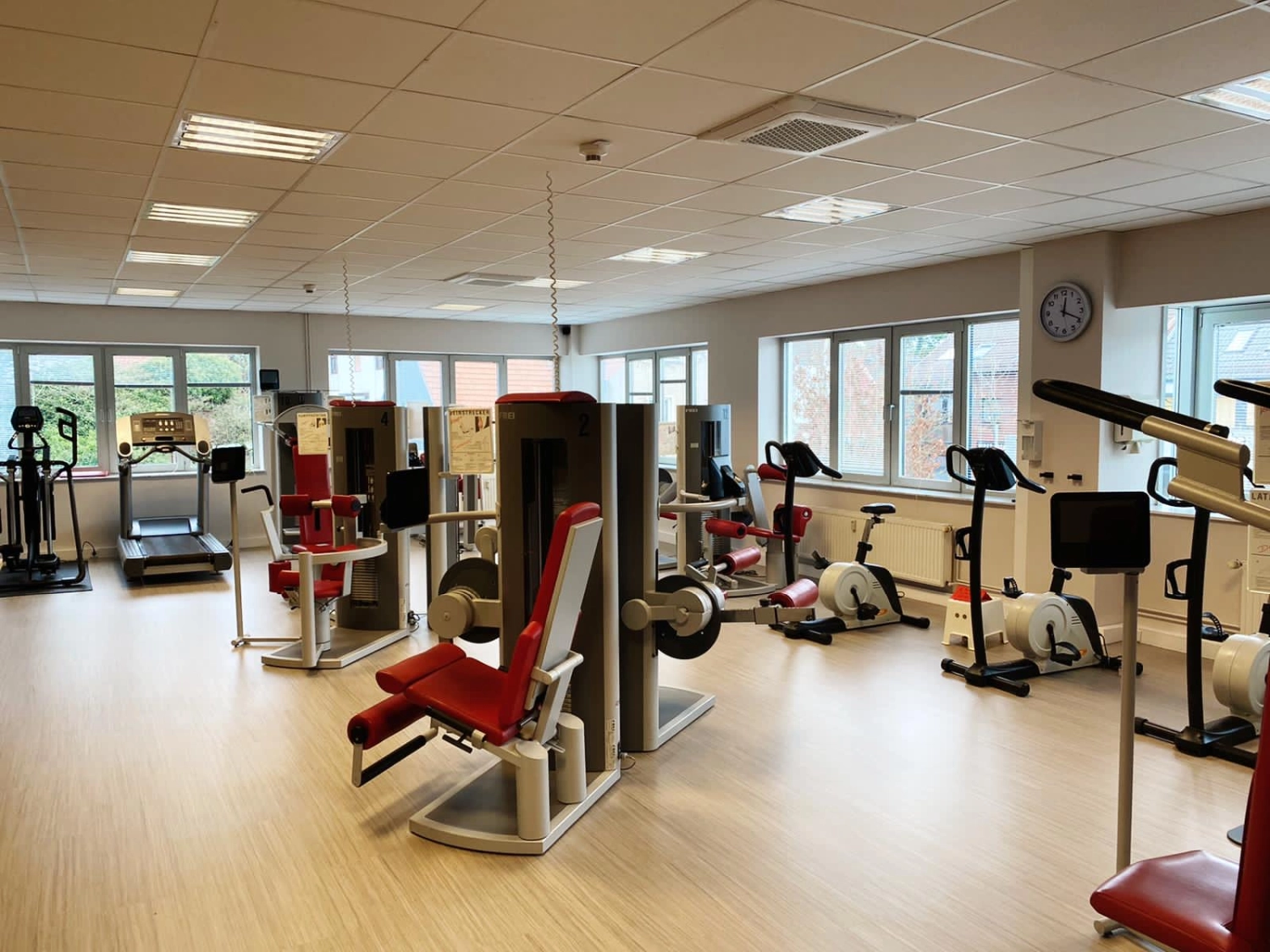 Präventives Genius Rückentraining von Praxis für Physiotherapie - Anke Rautenhaus-Rodewald